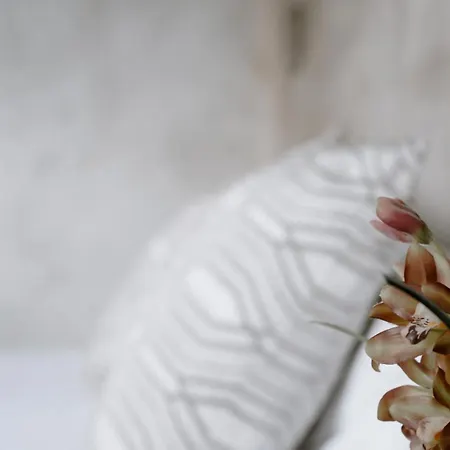 Ideal Sejour - Stylish Boutique With Quiet Garden 戛纳