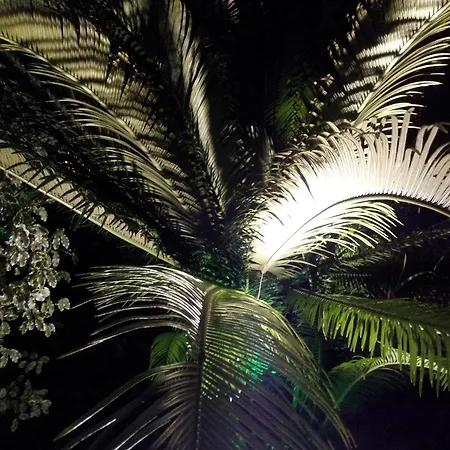 Idéal - De Charme Et Atypique 3* Cannes